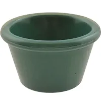 0391-KIWI GE