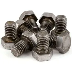 Bag & 8 Bolt Assy for Blodgett Part# 07847