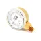 Pressure Gauge, Dual  for Groen Part# 099156