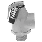Wat015 3/4In P/T Relief Valve 450 Lb/Hr