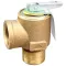 Steam Safety Valve3/4" for Market Forge Part# 10-7955
