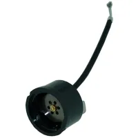 S2828 Cornelius