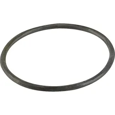 O-Ring (Tank Cover) for Fetco Part# 1024.00007.00