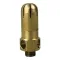 Strainer for Champion Part# 501869