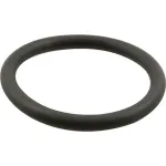 10389-45 T&S Brass - Durable Plunger O-ring for Waste