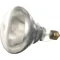 Infra-Red Lamp (Clear) 125V, 250W for Atlas Part# 1046-3