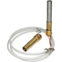 P8901-73 Anets