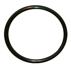 O-ring for Champion Part# 113723