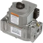 122405 Waste King - Durable Combo Valve for Natural Gas