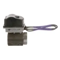 PT60186601 Pitco