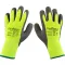 Glove,Freezercut-Resist, Mpr for AllPoints Part# 1331838