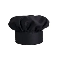 ULTR22041 Ultrafryer