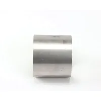 SK99711P Silver King