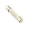 Fuse(16 Amp) for Duke Part# 166030