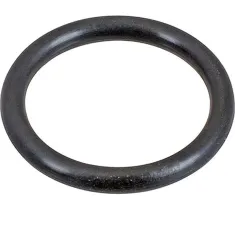 O-Ring,Suction Line (1"Od, Black) Sold As Ea for Henny Penny Part# 175860