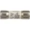 Fuse  for Market Forge Part# 1948084