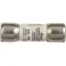 Fuse  for Star Mfg Part# 200596