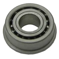 22754SP Savory