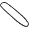 Drive Chain for A.J. Antunes (Roundup) Part# 2150369