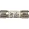 Fuse for Giles Part# 21900