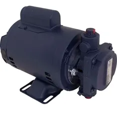 Filter Pump Motor, 1/2Hp , 110-115V/220-230V for AllPoints Part# 2271005
