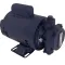 Filter Pump Motor, 1/2Hp , 110-115V/220-230V for AllPoints Part# 2271005