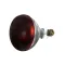 Infra-Red Lamp (Red) 120V, 250W for Hatco Part# 2.30.068.00