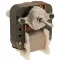 Motor,Evaporator Fan , 115V for AllPoints Part# 2341019