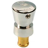 TS238A-H T&S Brass