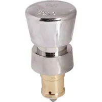 38AC T&S Brass