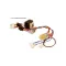 Harness,wire for Ultrafryer Part# 23A138