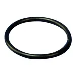 Server - 06024 - 3/4 in O-Ring