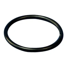 O-Ring  - 3/4"  for Server Products Part# SER06024