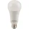 Bulb,Led 120V, 15W, Fros Ted for AllPoints Part# 2531547