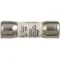 Fuse  for Star Mfg Part# 2E-200596