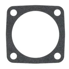 Gasket For Ts Safety  for AllPoints Part# 321831