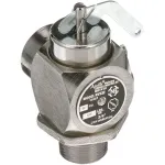 Valve, Steam Safety - 3/4", 50 Psi for CROWN STEAM Part# 3529-2
