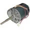 Motor, Conveyor Oven - for Lincoln Part# 369539