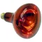 Infra-Red Lamp (Pk 12) 120V, 250W for AllPoints Part# 381034
