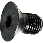 Screw, Cap for Berkel Part# 402175-00088