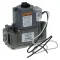 Combo Valve, Nat, 120V  for Blodgett Part# 41045
