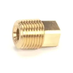 Plug Brass 1/8 N.P.T.  for Jackson Part# 47302090737
