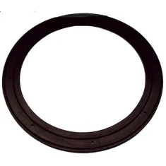Gasket for Champion Part# 501881
