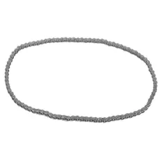 Conv Drive Chain for Champion Part# 501899