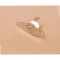 Hermetic Thermostat For Blodgett Part# 50937