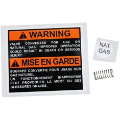 Spring, Regulator Conv  for AllPoints Part# 511358