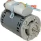 Motor for Taylor Part# TAF051481-12