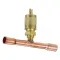 Access Valve  for AllPoints Part# 561582