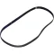 Saniserve Serpentine Belt for Saniserv Part# 58880