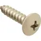 Screw, Sm/Th/Ss 100 for AllPoints Part# 6120812